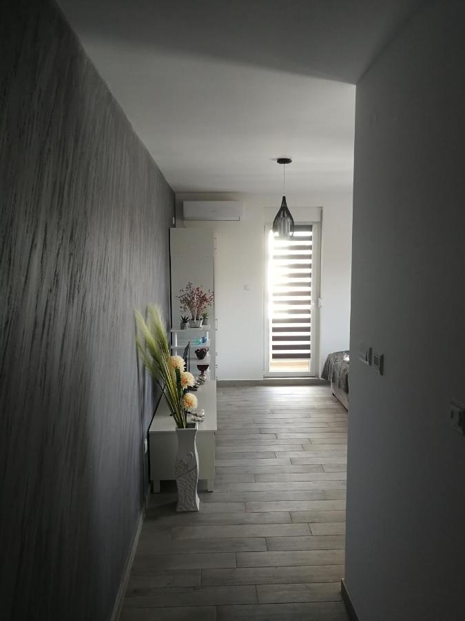 Apartmán Danica Sremska Mitrovica Exteriér fotografie